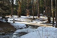 Česká Kanada